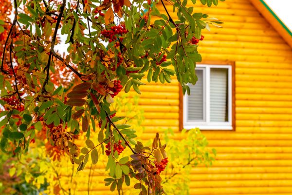 Garden Window Replacement in Columbus